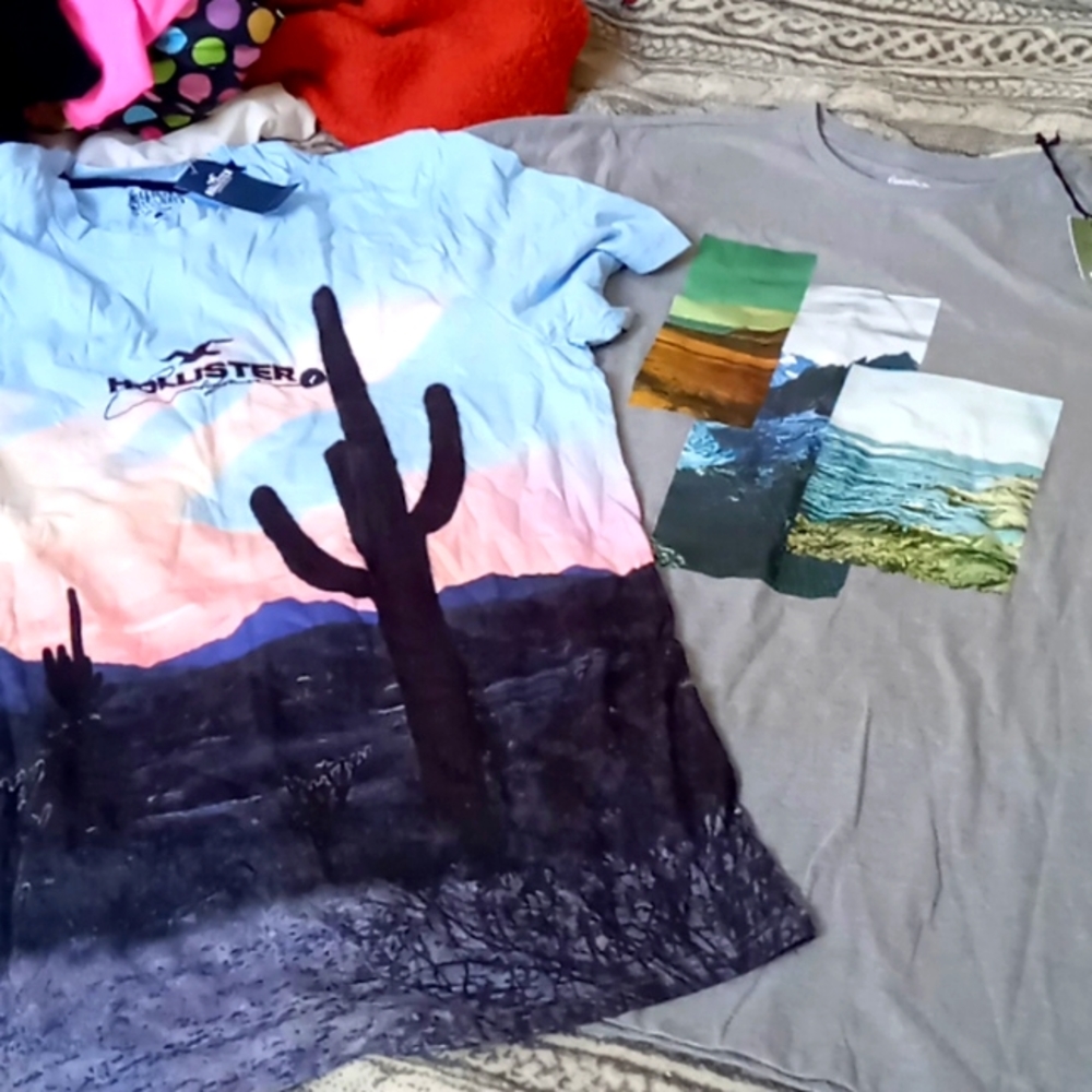 2 NWT mens t shirts Hollister and Target